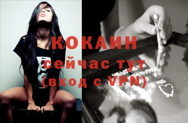 бошки Гатчина