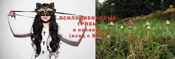 спиды Приозерск