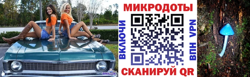 закладки  МЕГА маркетплейс  Псилоцибиновые грибы MAGIC MUSHROOMS  Снежногорск 